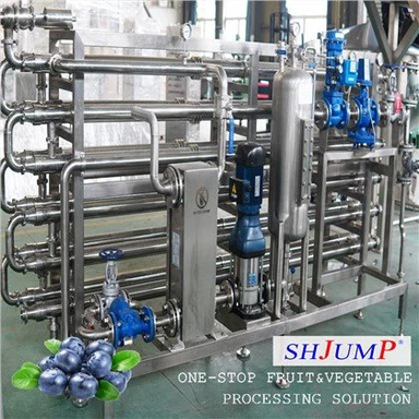 Blueberry Jam Processing Line