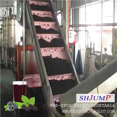 Blackberry Puree Processing Line