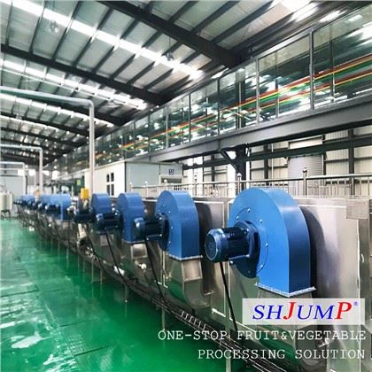 Kontinuerlig bälte lufttork