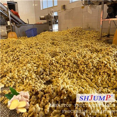 Ginger Processing Line