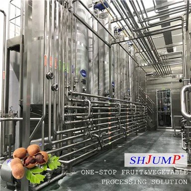 Tamarind Puree Processing Line