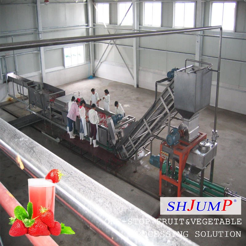 Bearbetningslinje för jordgubbsjuice