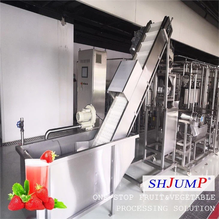 Strawberry Juice Processing Line