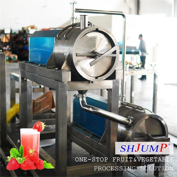 Strawberry Juice Processing Line