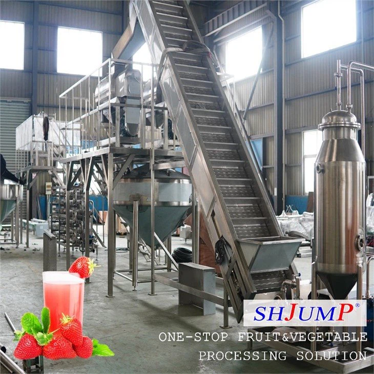 Strawberry Juice Processing Line