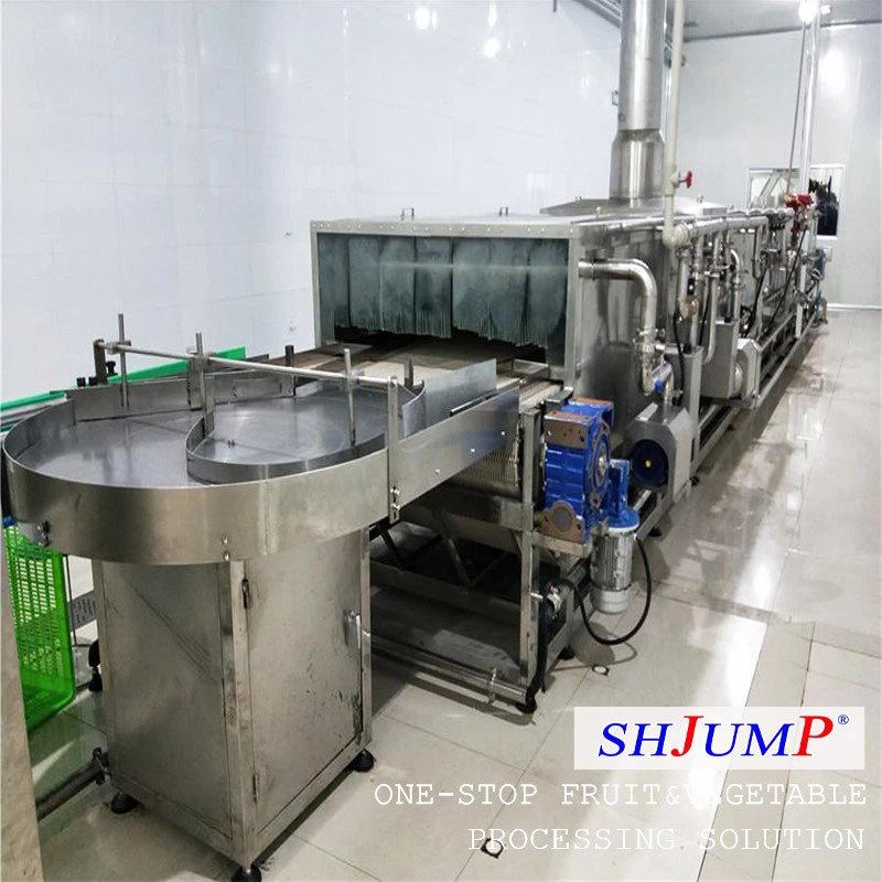 Tunnelpastöriseringsmaskin