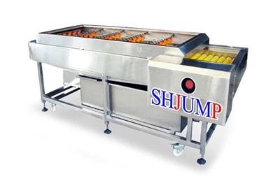 Grönsaks- och fruktrengöringsmaskin