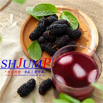 Mulberry Juice Production Line